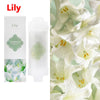 Aromatherapy Shower Filter Cartridge